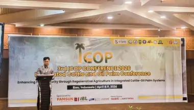 Terungkap di ICOP 2026, Cara Cerdas Manfaatkan Kebun Sawit Sekaligus Ternak Sapi