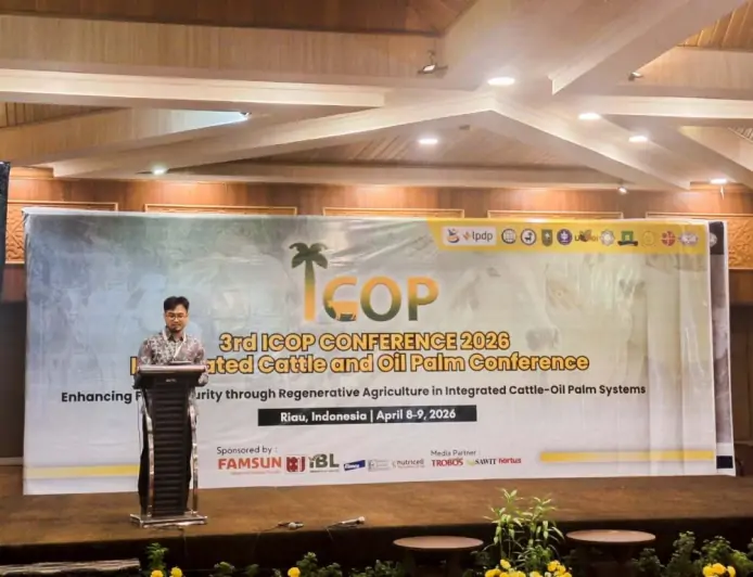 Terungkap di ICOP 2026, Cara Cerdas Manfaatkan Kebun Sawit Sekaligus Ternak Sapi